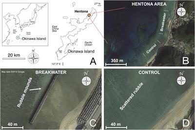 A Comparison of Size, Shape, and Fractal Diversity Between Coral Rubble Sampled From Natural and Artificial Coastlines Around Okinawa Island, Japan